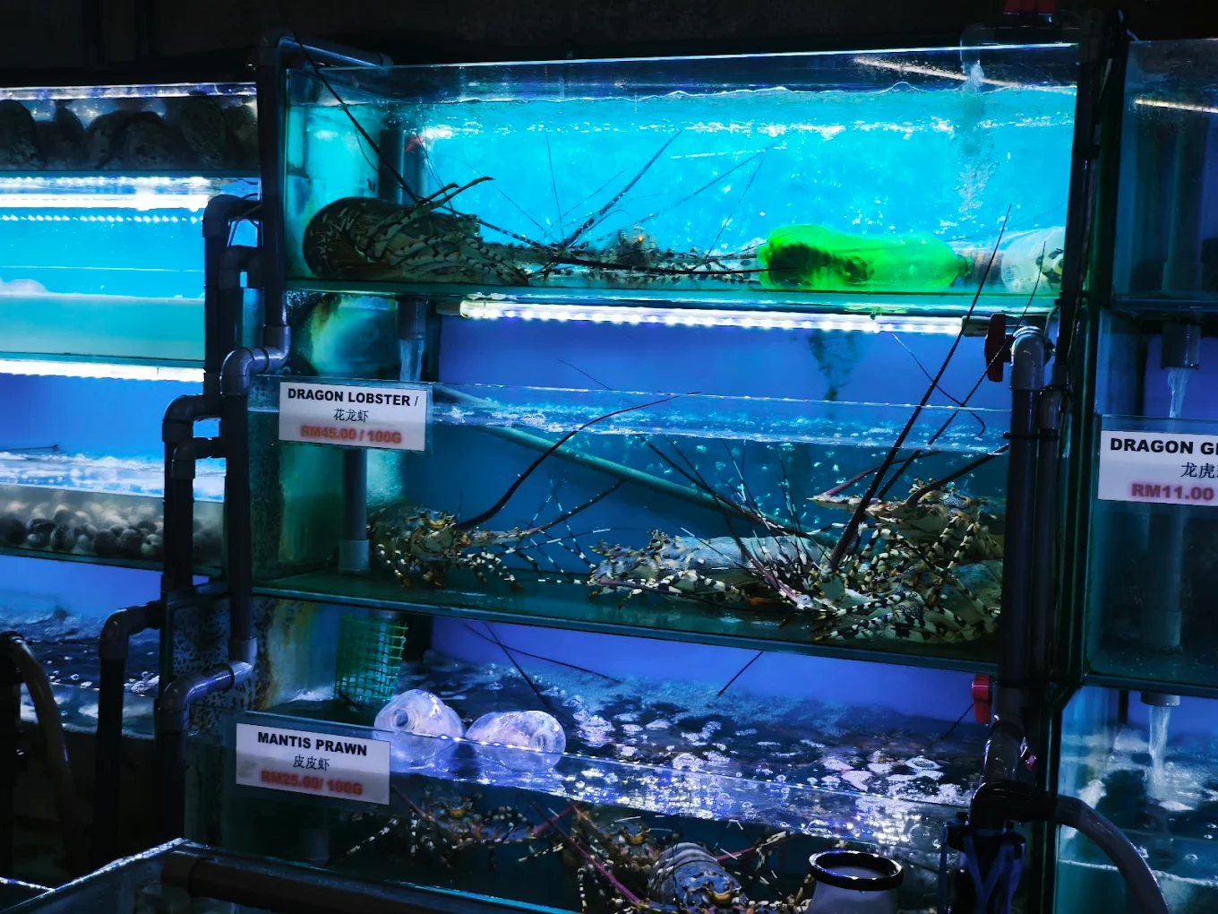 砂沙海鮮舫 — 3 / 6