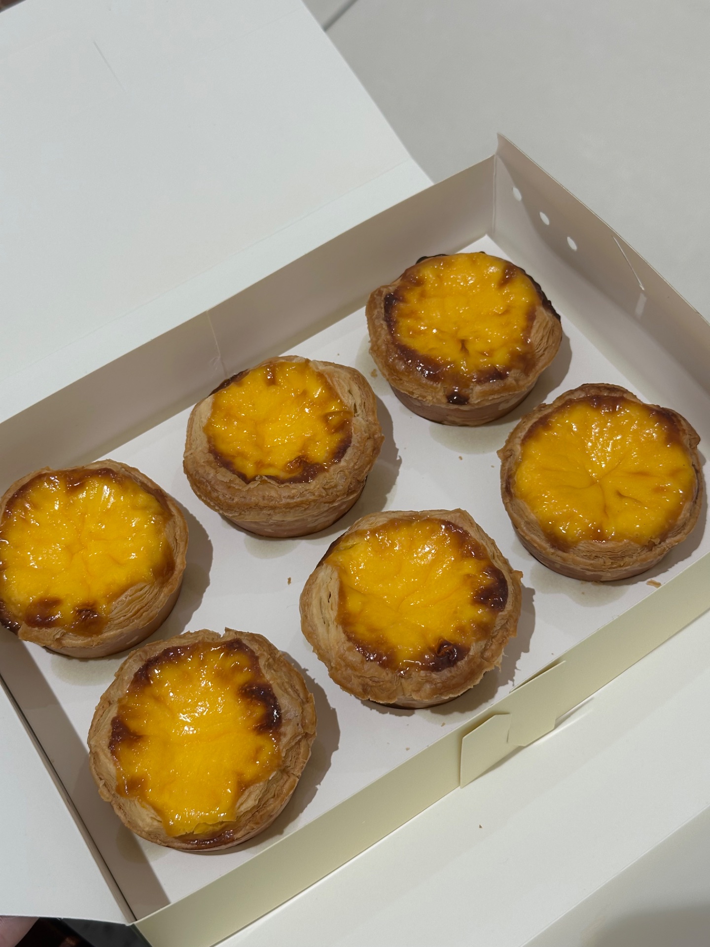 照片 1